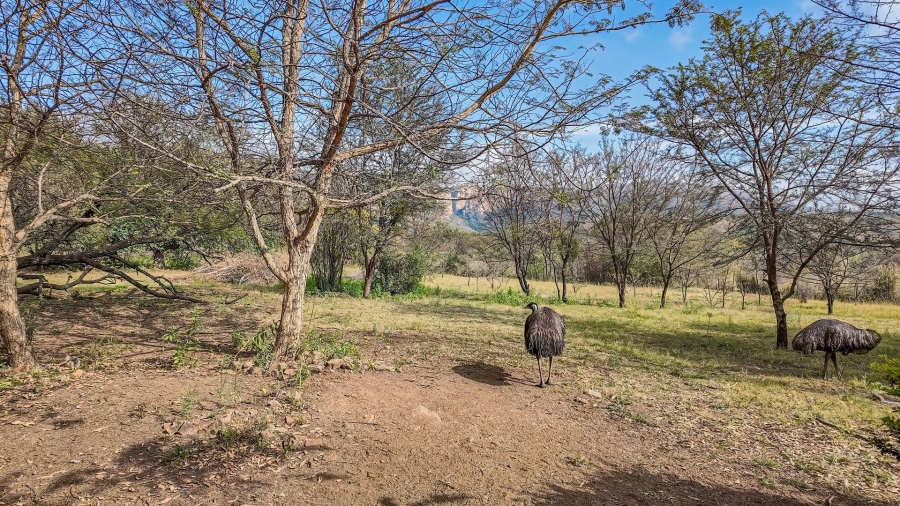 4 Bedroom Property for Sale in Protea Park North West